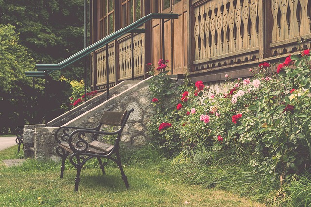 帕拉西奧斯 帕拉西奧斯