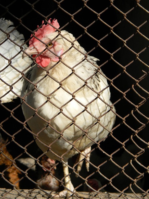 更是因为他 更是因为他