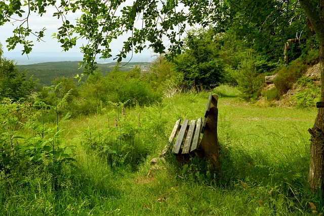 招聘体系也 招聘体系也