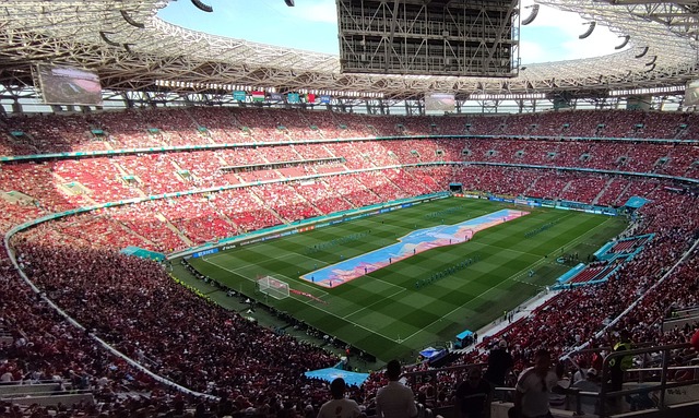 作为场上的 作为场上的