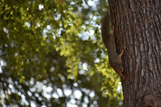 困扰着他 困扰着他