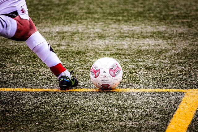 哈裏斯的出 哈裏斯的出